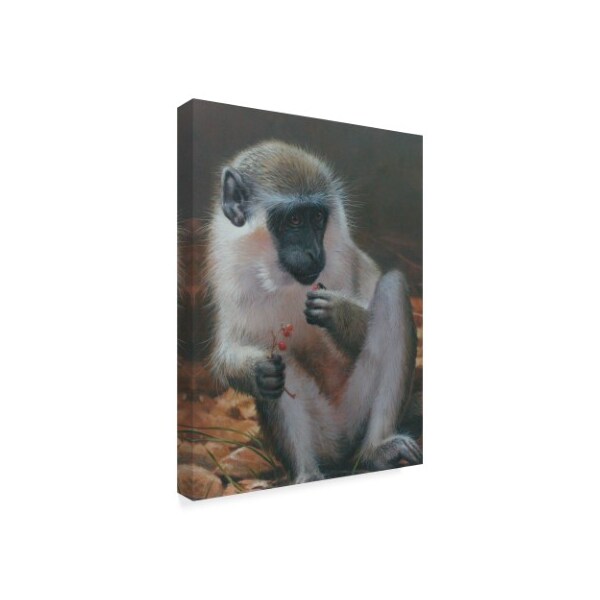 Trademark Fine Art Michael Jackson 'White Monkey 1' Canvas Art